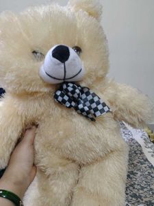 Cute Cream Teddy Bear