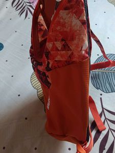 Wildcraft bagpack