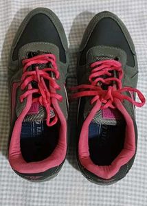 Grey-pink Sports Shoes