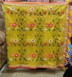 Brand New Organza Saree 10 Years