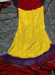 Embroidered Indian Dress