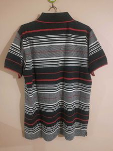 T Shirt For Men