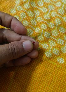 Gold Nose Pin
