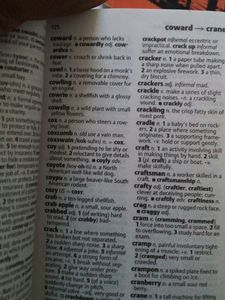 Oxford English Mini Dictionary