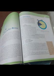 Ncert Class 11 Pcmb Books
