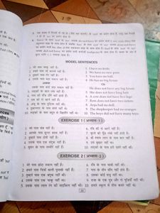 The Art Of Translation (Translations Learning Book