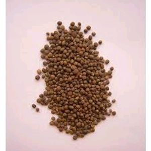 Balsam Mix Seeds