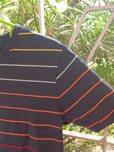Striped Tshirt
