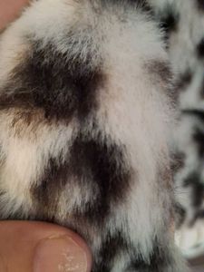 Leopard Print Bunny Bag