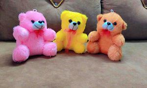 Snuggle Mystery Teddy