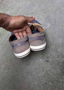 Us Polo Shoes 👟