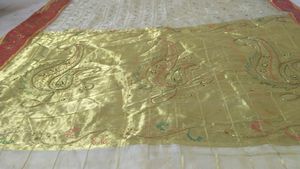 Organza Saree With Aari Tari Work