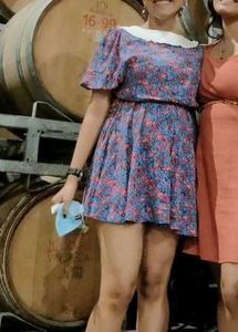 PriceDrop| Vintage Peterpan Collar Floral Playsuit