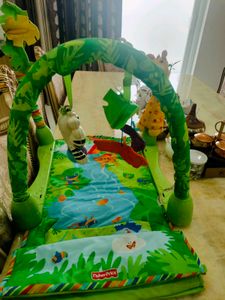 Fisher-Price Activity Gym With Box