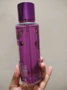 Victoria&#39;s Secret Berry Santal