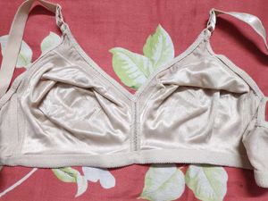 Comfortable Beige Bra