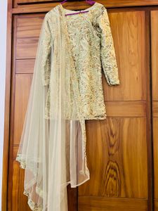 Elegant Pakistani Dress