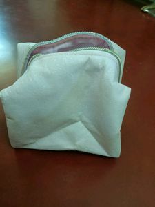 Shimmery Pouch