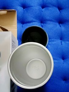 Suction Cup