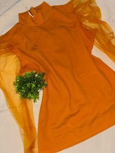 Puffy Sleeved Top