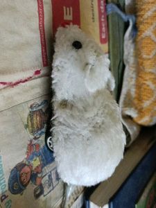 Toy Mouse
