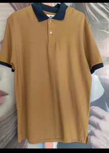 Brand New Collar Tshirt