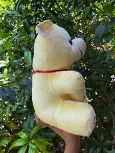 Brand New Teddy Bear