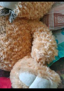 Beige Cute Teddy Bear 🧸