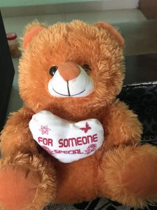 Combo Pink and Brown Soft Tou