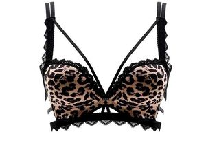 Animalier Sexy Spong Cups