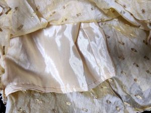 Ethnic Skirt