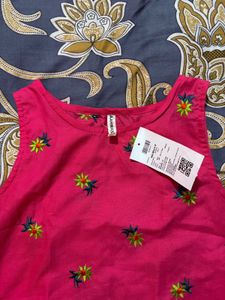 Floral Embroidered Pink Crop Top