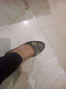 Used Black Belly