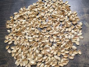 Pistachio Shells