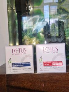 Lotus Professional Night Cream
