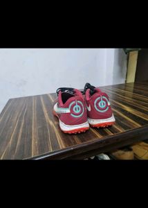 Nike  And  Skechers Shoes Original