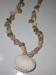 Seashell Necklace