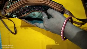 Combo 5 Sling Bag For Girls And Women