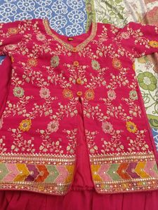 Pink Embroidered Palazzo Set