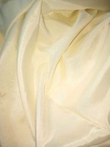Elegant White Satin Saree