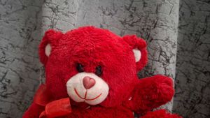 Red Teddy
