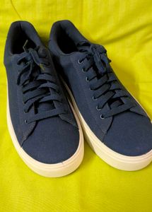 Puma Canvas Sneaker Size 6