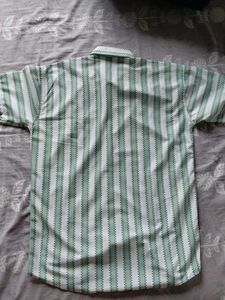Striped Shirt
