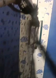 Grab Black Elegant Net Lace Top