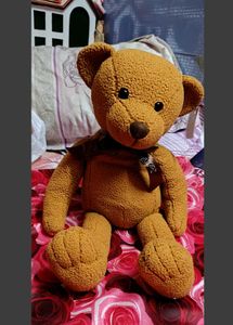 Teddy