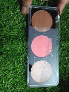 Swiss Beauty Cheek-A-Boo Palette