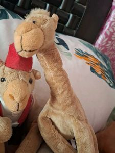 Dubai Toys