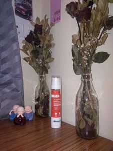 Derma Co Sunscreen SPF 50