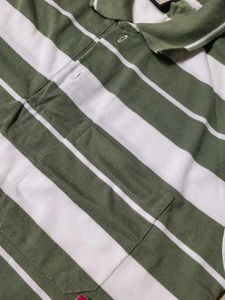 Striped Polo Shirt