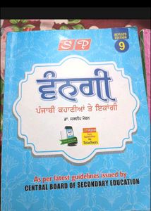 Class 9th Punjabi Books